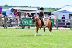 SBM_13915