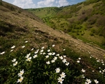 Deep Dale #02