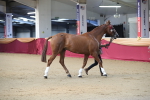 SBM_00593
