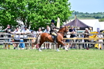 SBM_15403