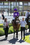 Race 6 portfolio