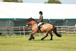 SBM_07072