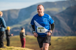 Sale Fell-521
