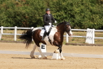 SBM_000439