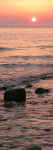 sunset-tall-1