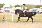 SBM_16498