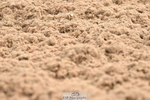 240622A-092951-07390