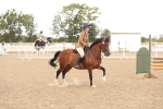 SBM_06704