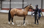 BPP_2782