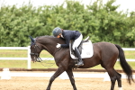 SBM_005303