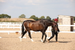 SBM_07033
