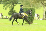 SBM_74986