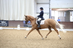 SBM_002068