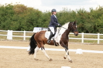 SBM_001837