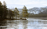 Loch an Eilein in Winter, looking towards Creag Dhubh
