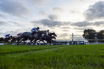 171026-Race 8-Gentle Warrior-9056