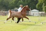 SBM_00398