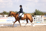 SBM_03550