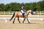 SBM_012713