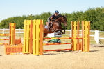 SBM_006610