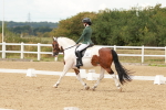 SBM_001962