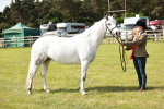 SBM_01649