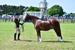 SBM_03875