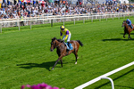 Race 5 16.30pm Azets Handicap portfolio