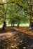 Authum in Fishponds _B083