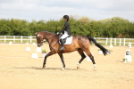 Class 13 - Novice 23 - 9.54-11.04 portfolio