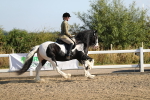 SBM_01264