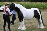 WJ6_5479