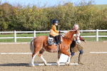 SBM_000247