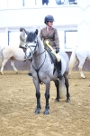 SBM_003690