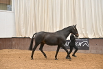 SBM_000078