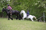 WJ6_1631