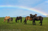Rainbow Vision