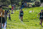The Finish-1768
