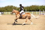 SBM_000998