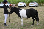 WJ6_5527