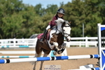 Cls 18 Pony Brit Novice & 80cm Open portfolio