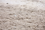 SBM_002510