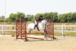 SBM_002706