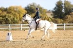 SBM_009034