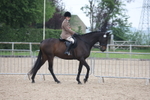 Ridden Championship portfolio