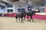 SBM_13121