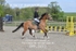 BPP_3323