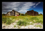 The Boat Sheds