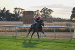 140826-Race 4-Raging Raj-1297