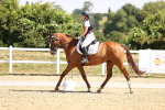 SBM_003703